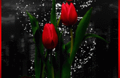 GIF-69ce2ee502b2290512a959ccb79ed1ce.gif