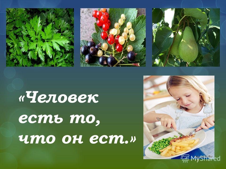 То есть. Человек то что он ест. Человек есть то что он ест. Человек есть это что ое ест. Человек есть то что он ест картинки.