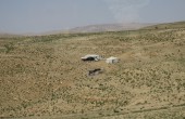 IMG_0375.jpg_22222_.jpg