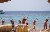 IMG_0129.jpg_3333_.jpg