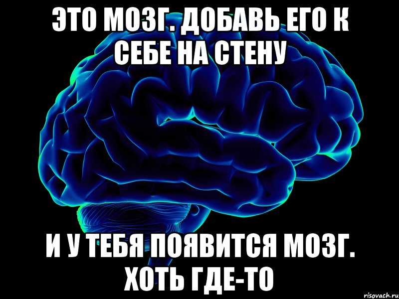 Brain по русски. Мозг ум. Цитаты про мозги. Цитаты о людях без мозгов.