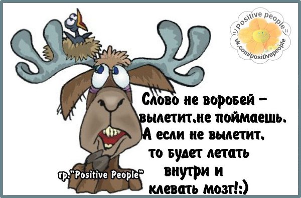 Денацификация это кратко. 1488 нацизм. Что такое денацификация определение. Денацификация после 2 мировой. Термины второй мировой.