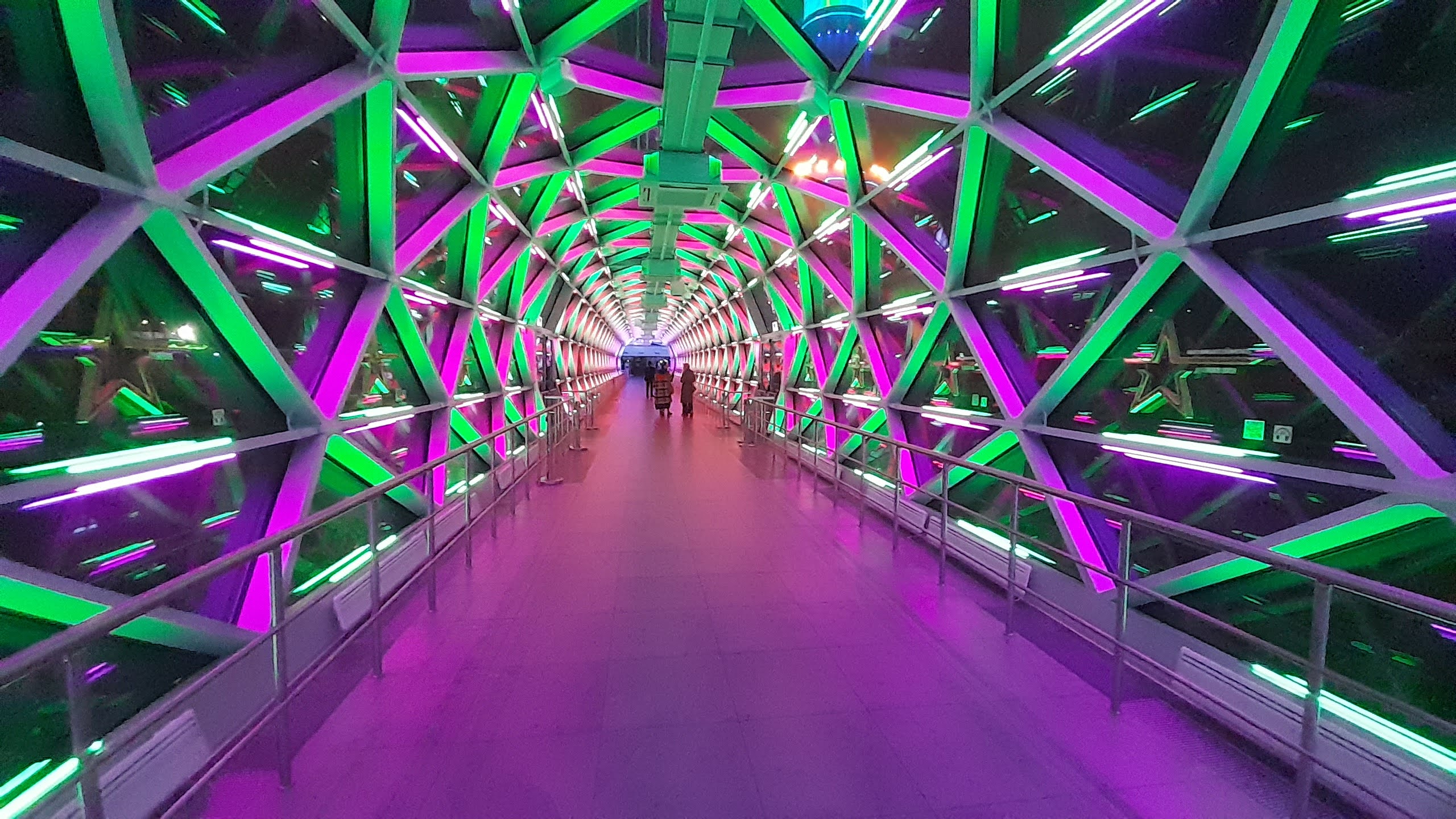 20251003_202001_(1).jpg 20251003_202001_(1).jpg