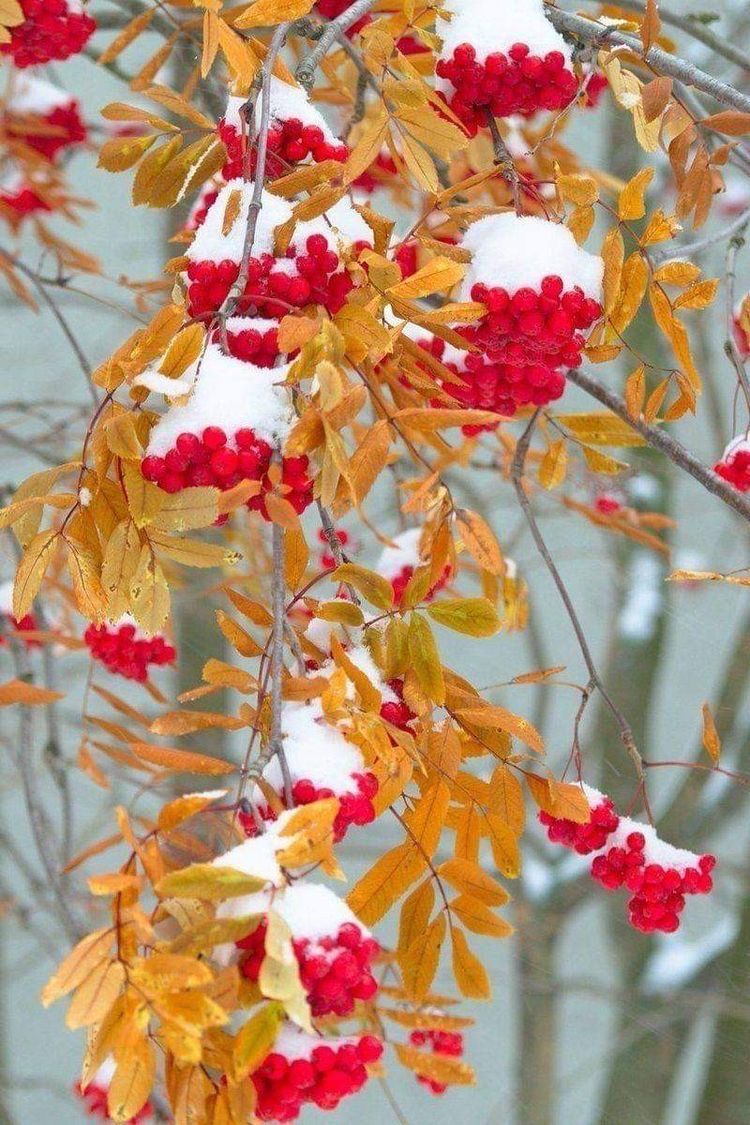 поздняя_осень1.jpg поздняя_осень1.jpg