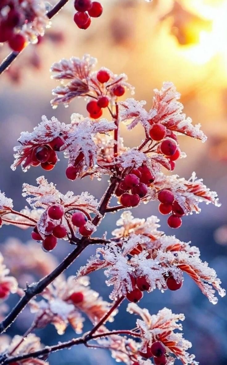 поздняя_осень3.jpg поздняя_осень3.jpg