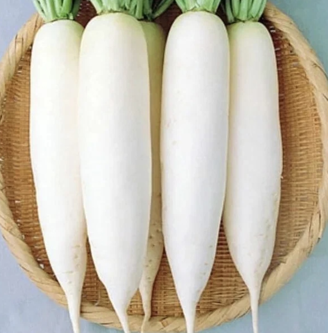 IMG_3196.jpeg IMG_3196.jpeg