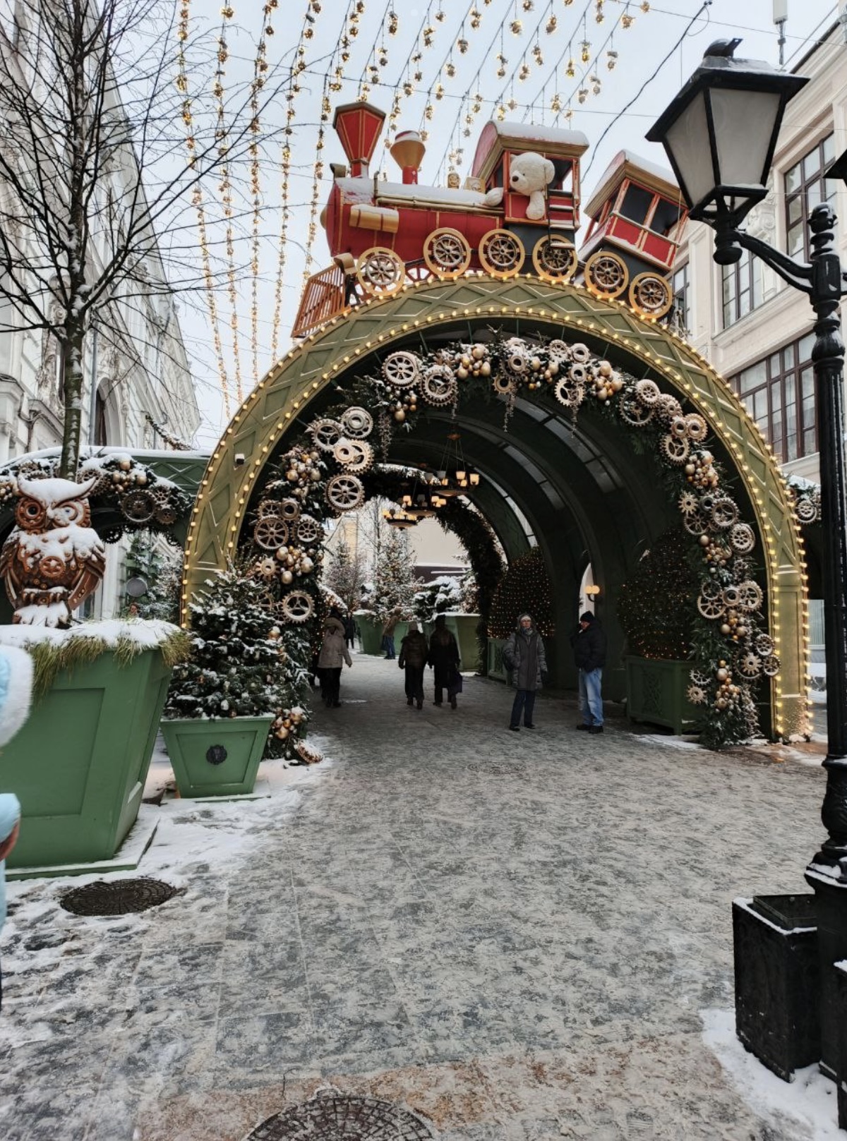 IMG_3244.jpeg IMG_3244.jpeg