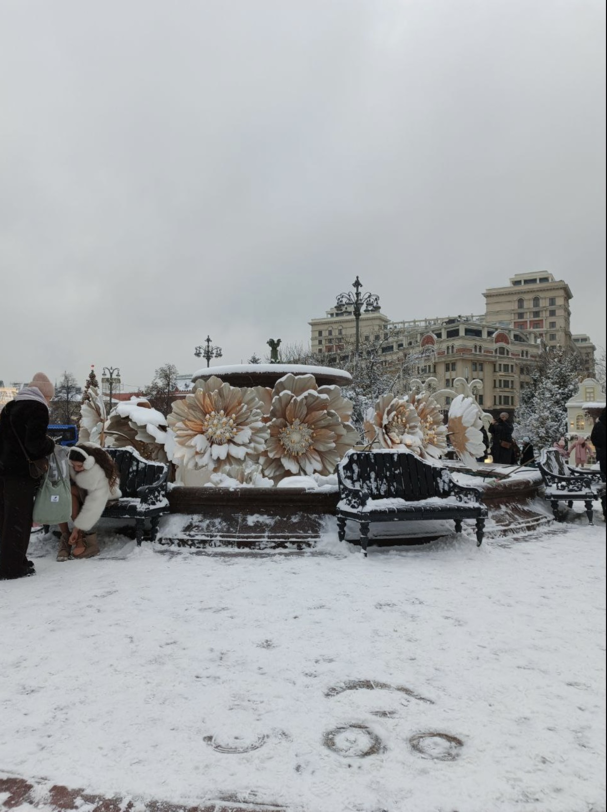 IMG_3245.jpeg IMG_3245.jpeg