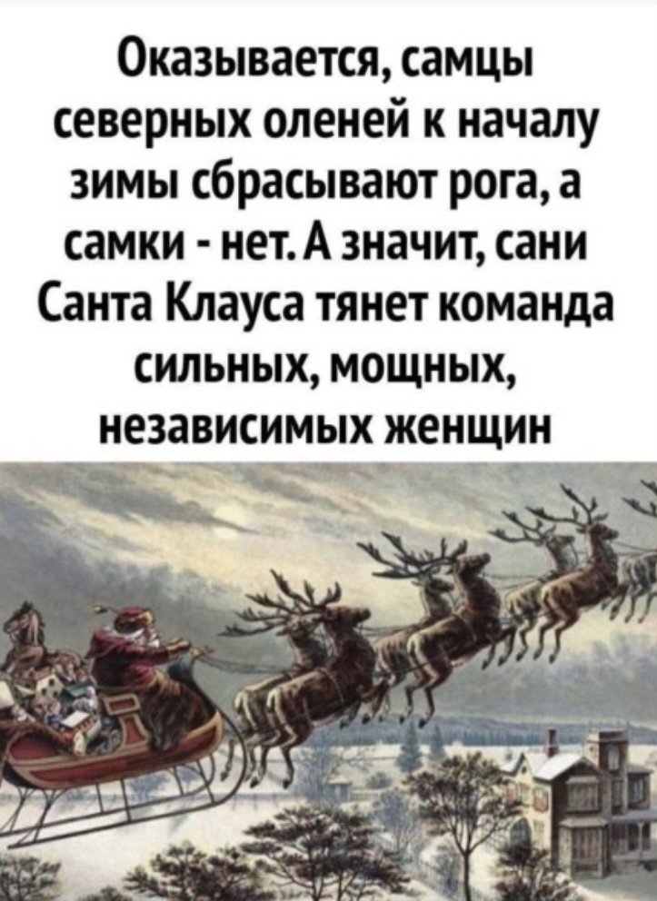 IMG_3271.jpeg IMG_3271.jpeg