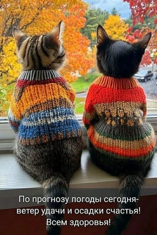 IMG-20251022-WA0003.jpg IMG-20251022-WA0003.jpg