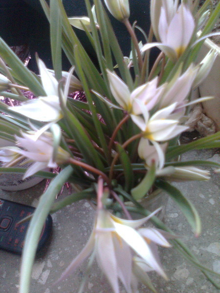 588939.jpg 588939.jpg