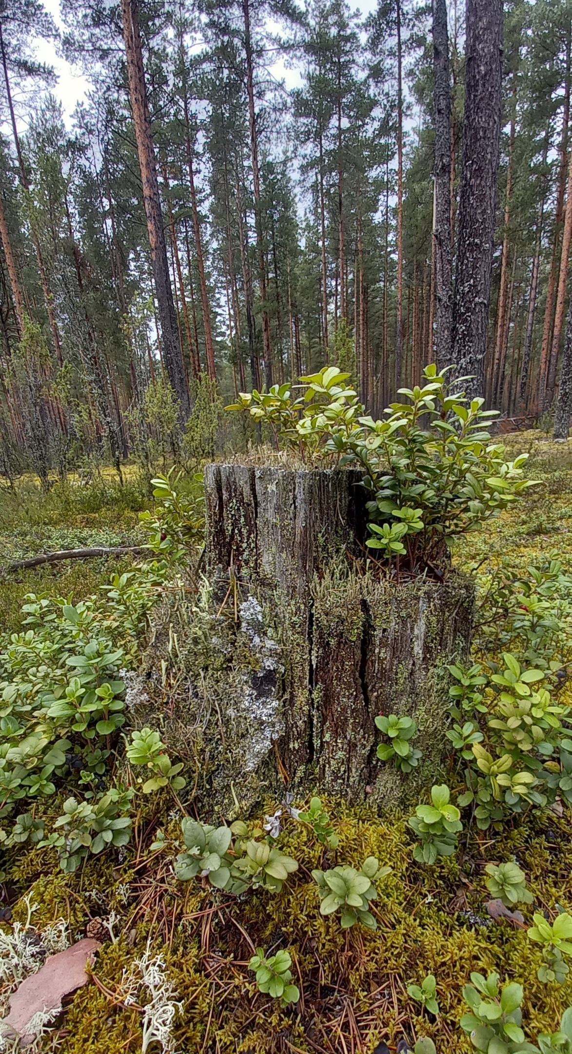 20260708_202301.jpg